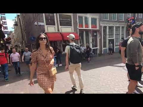 Erotic Red Light District in Amsterdam at Day full of Girls