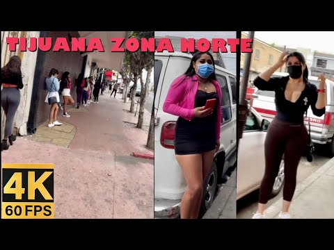 Tijuana Zona Norte Captivating Corners 2023 [4K]